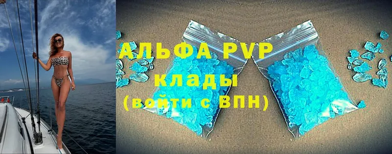 A PVP СК  Малая Вишера 